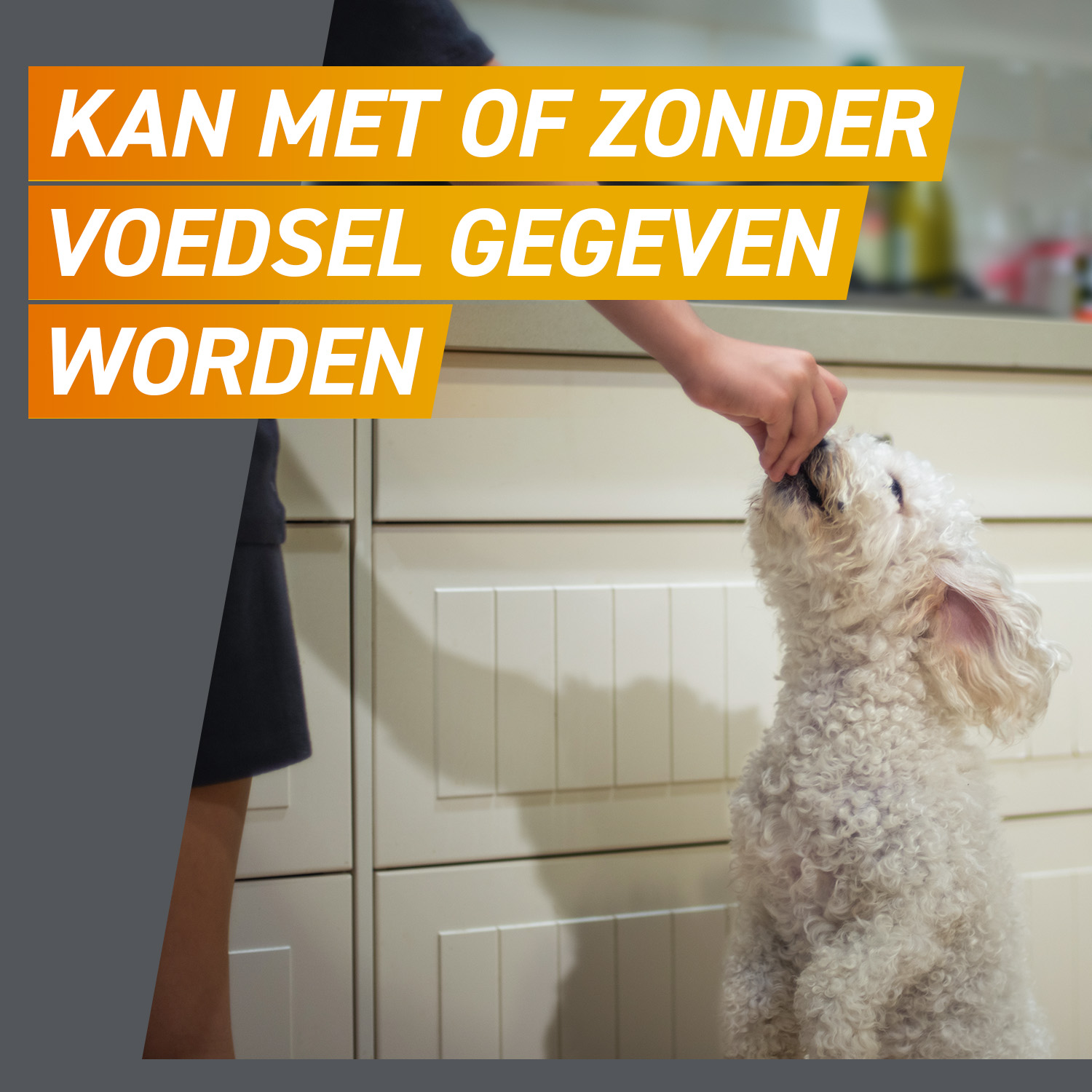FRONTPRO Kauwtabletten Hond
