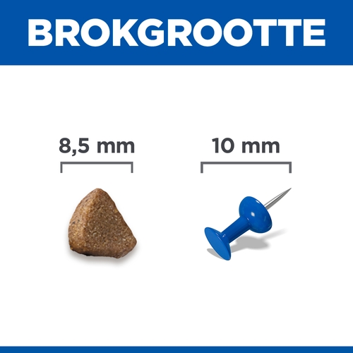 Hill's Science Plan - Kitten - Salmon