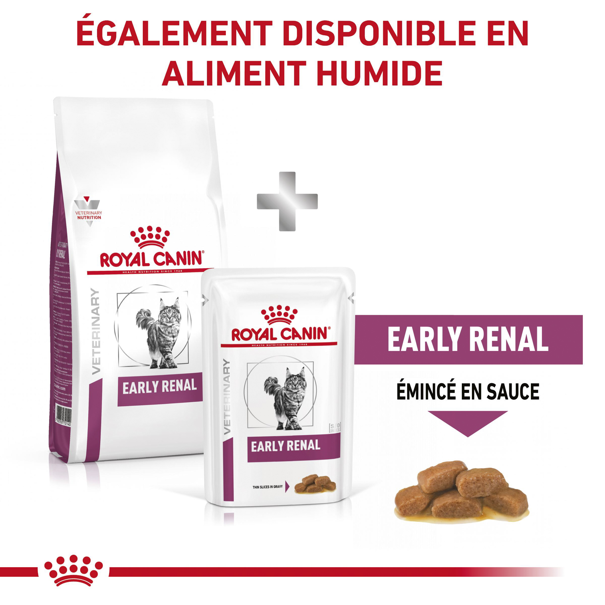 Royal Canin Early Renal - Chat