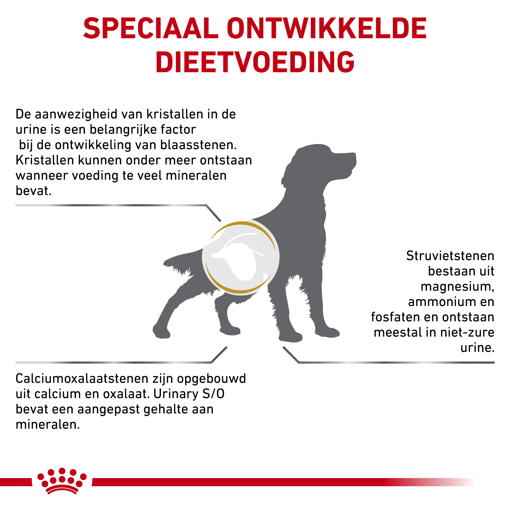 Royal Canin urinary <br>S/O moderate calorie