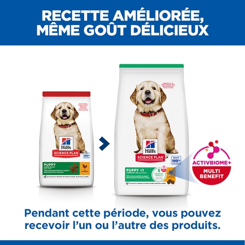 Hill's Science Plan - Puppy - Large Breed