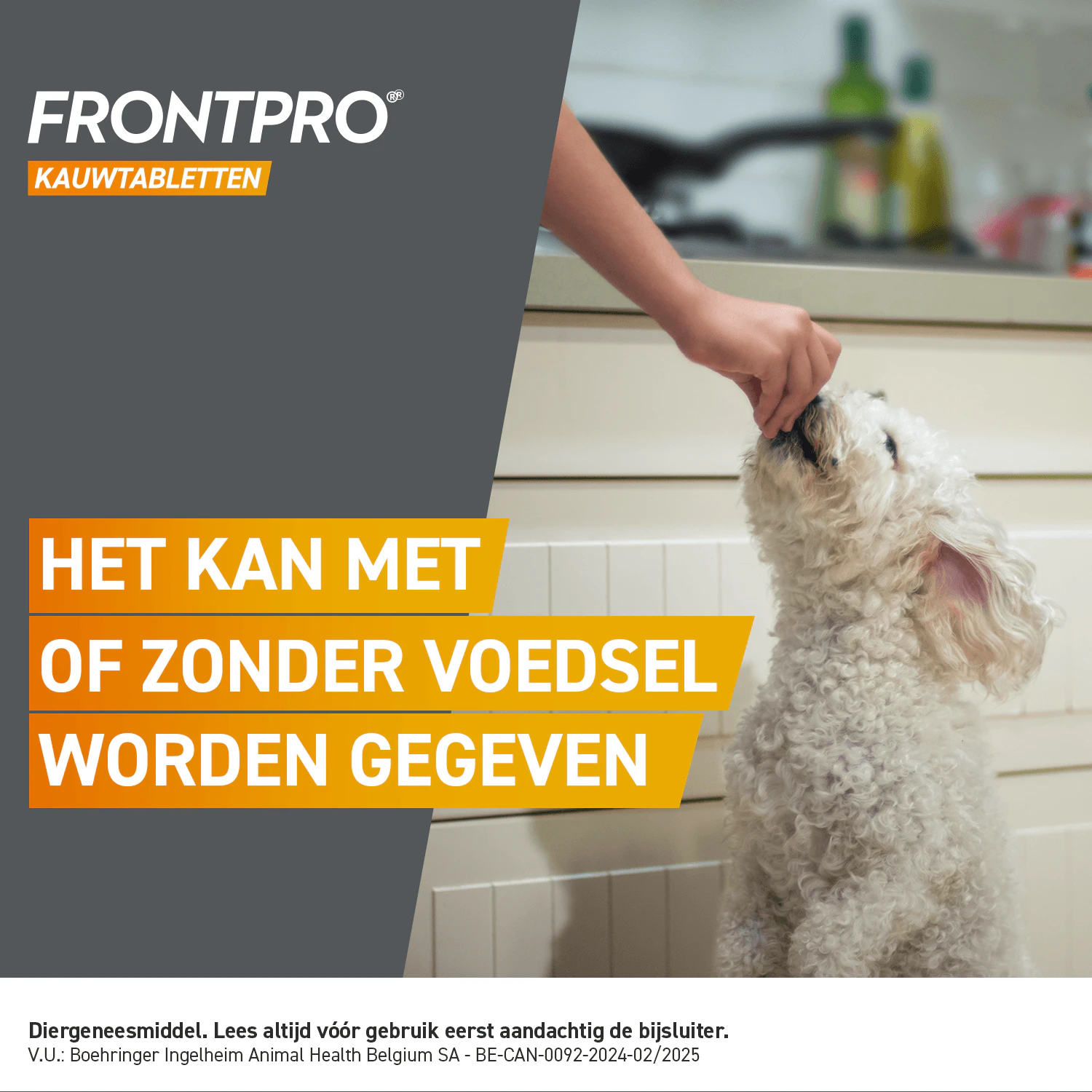 FRONTPRO Kauwtabletten Hond