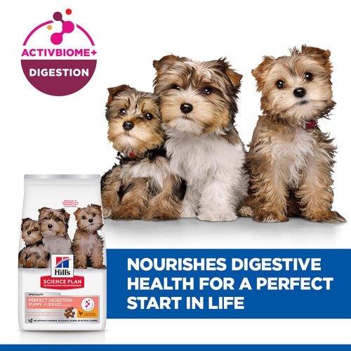 Hill's Science Plan Perfect Digestion Small and Mini Puppy Food