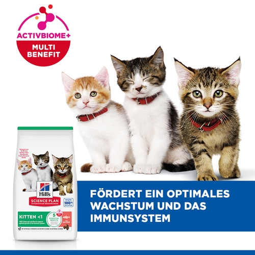 Hill's Science Plan - Kitten - Salmon