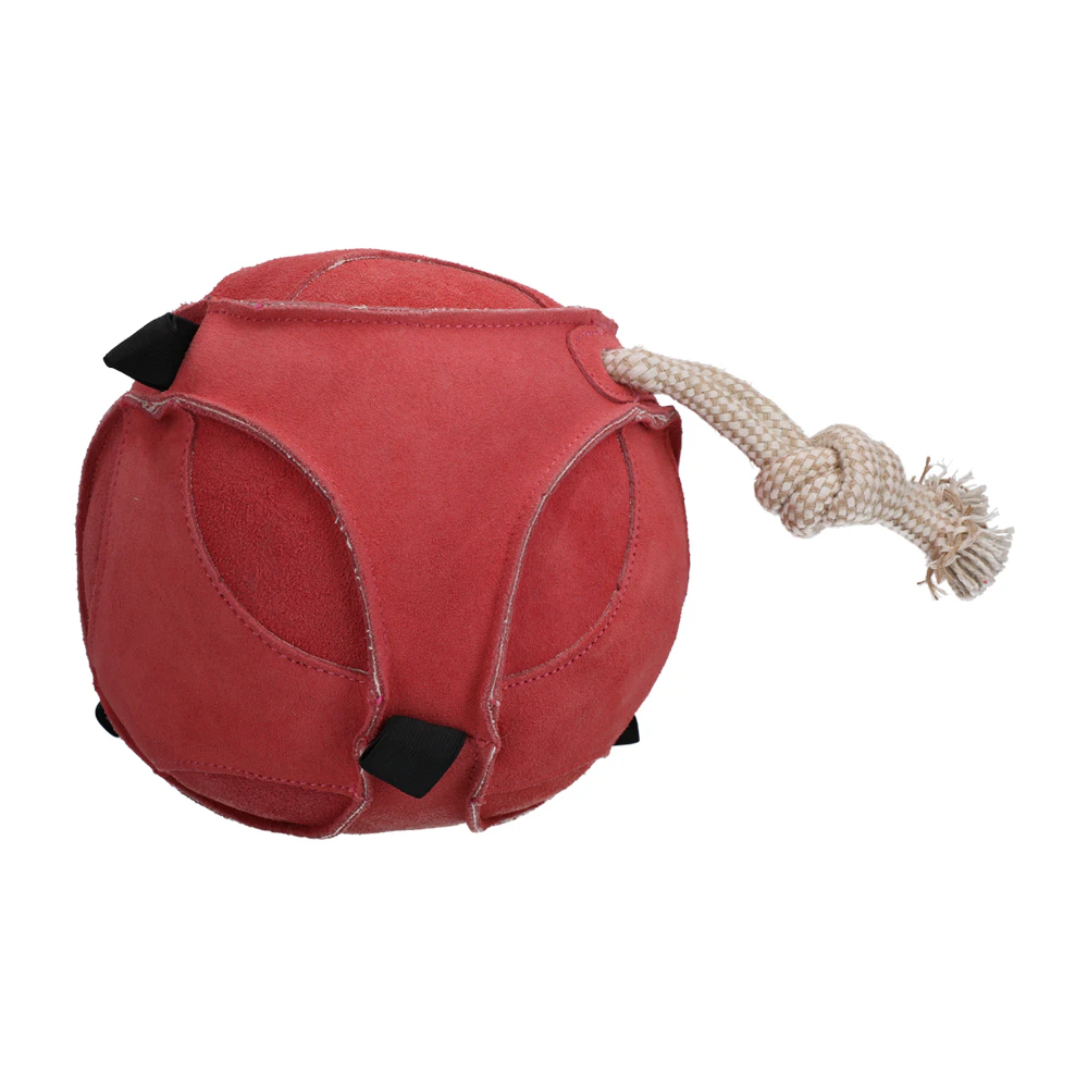 Excellent Horse Fun Play Ball