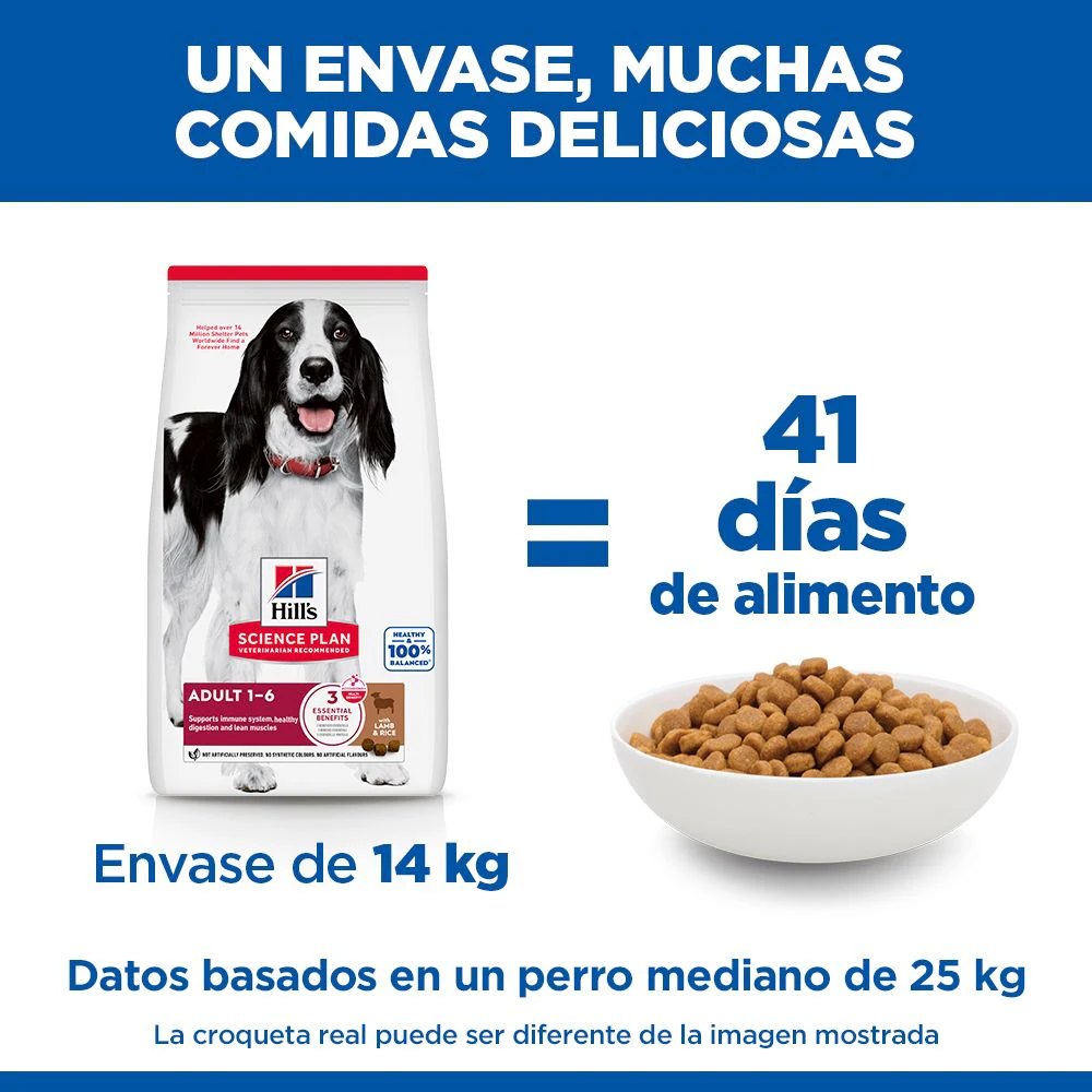 Hill's Science Plan Medium - Adult - Cordero y Arroz