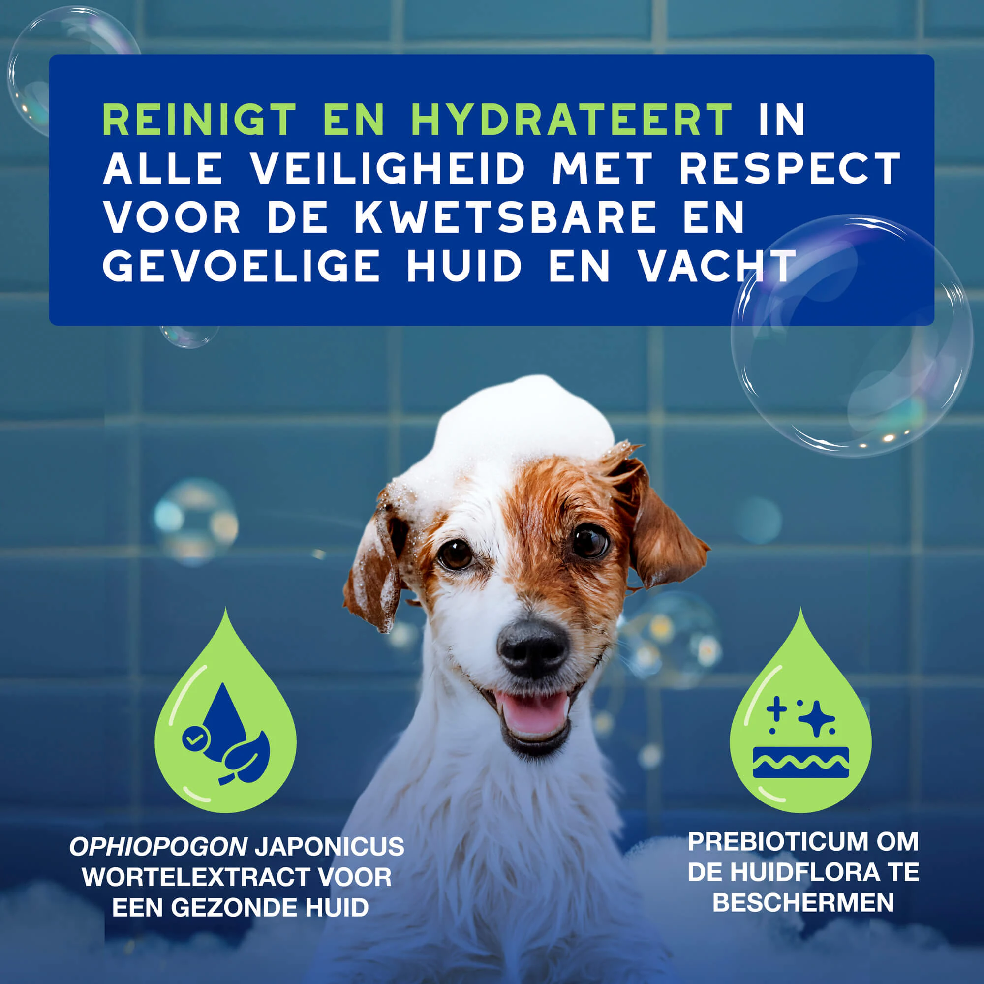 Douxo  Spa Shampoo Puppy