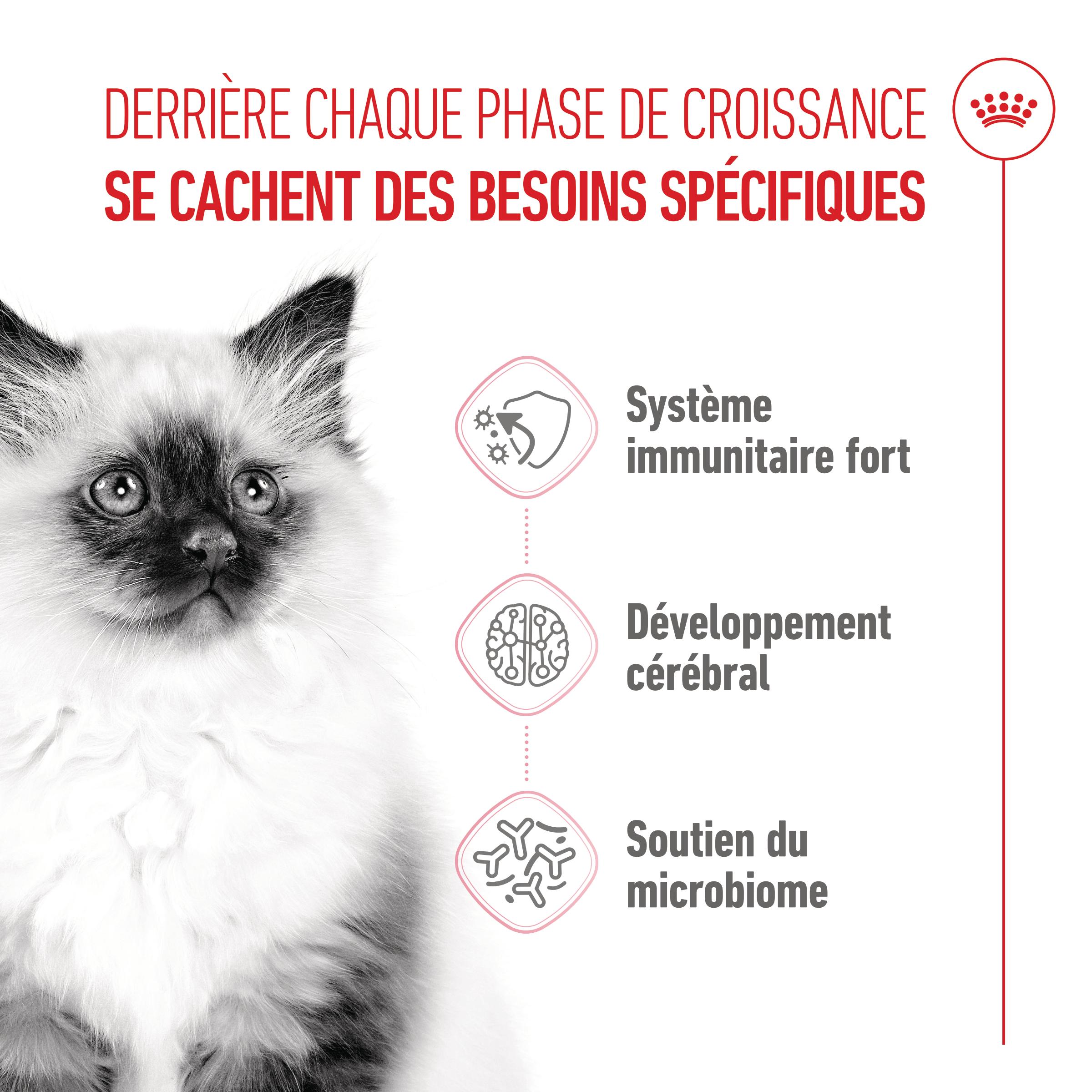 Royal Canin Kitten