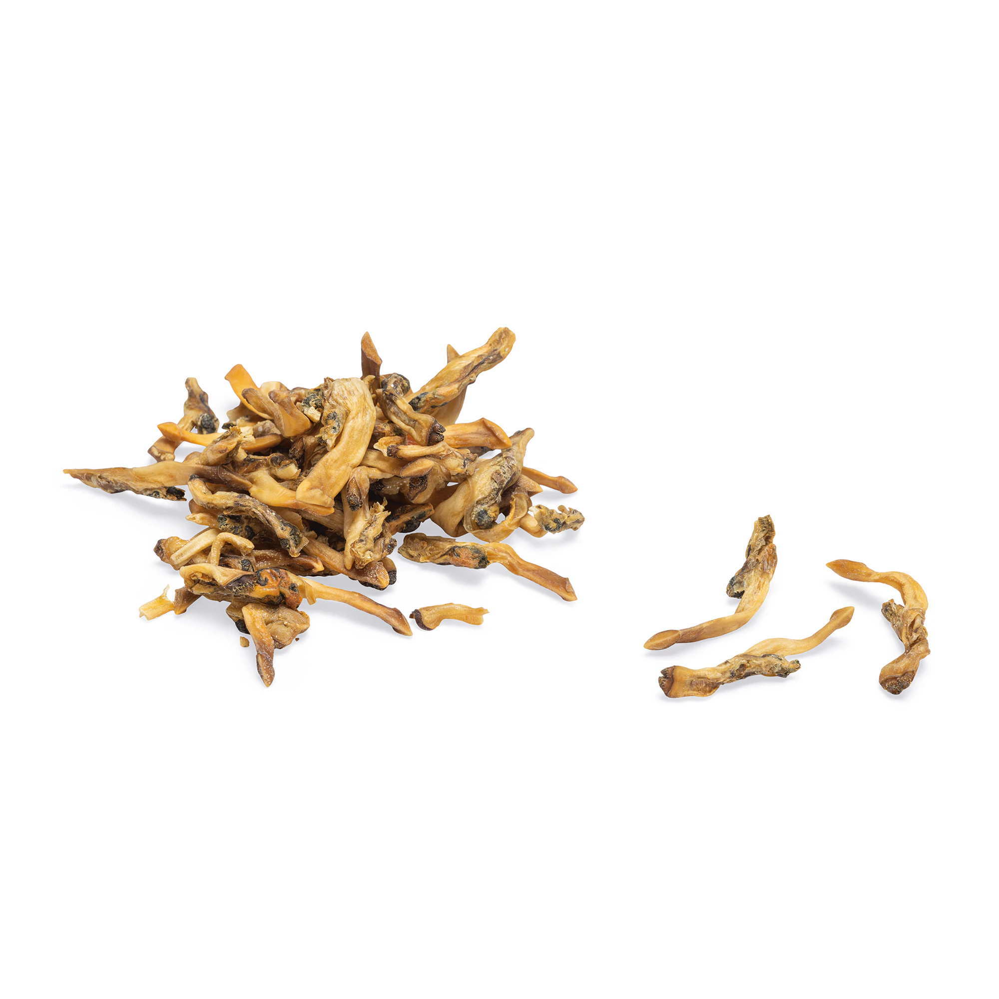 Beeztees Getrocknete Messermuscheln