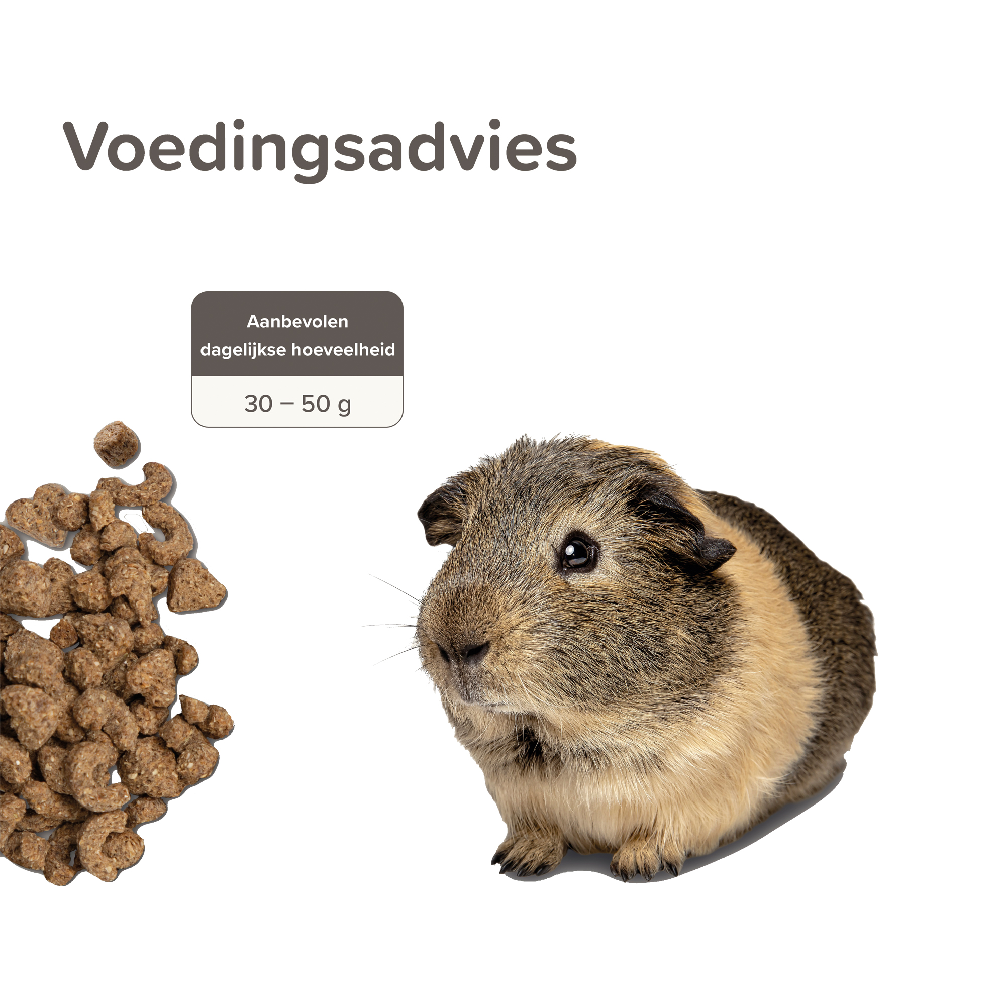 Beaphar Care+ Cavia
