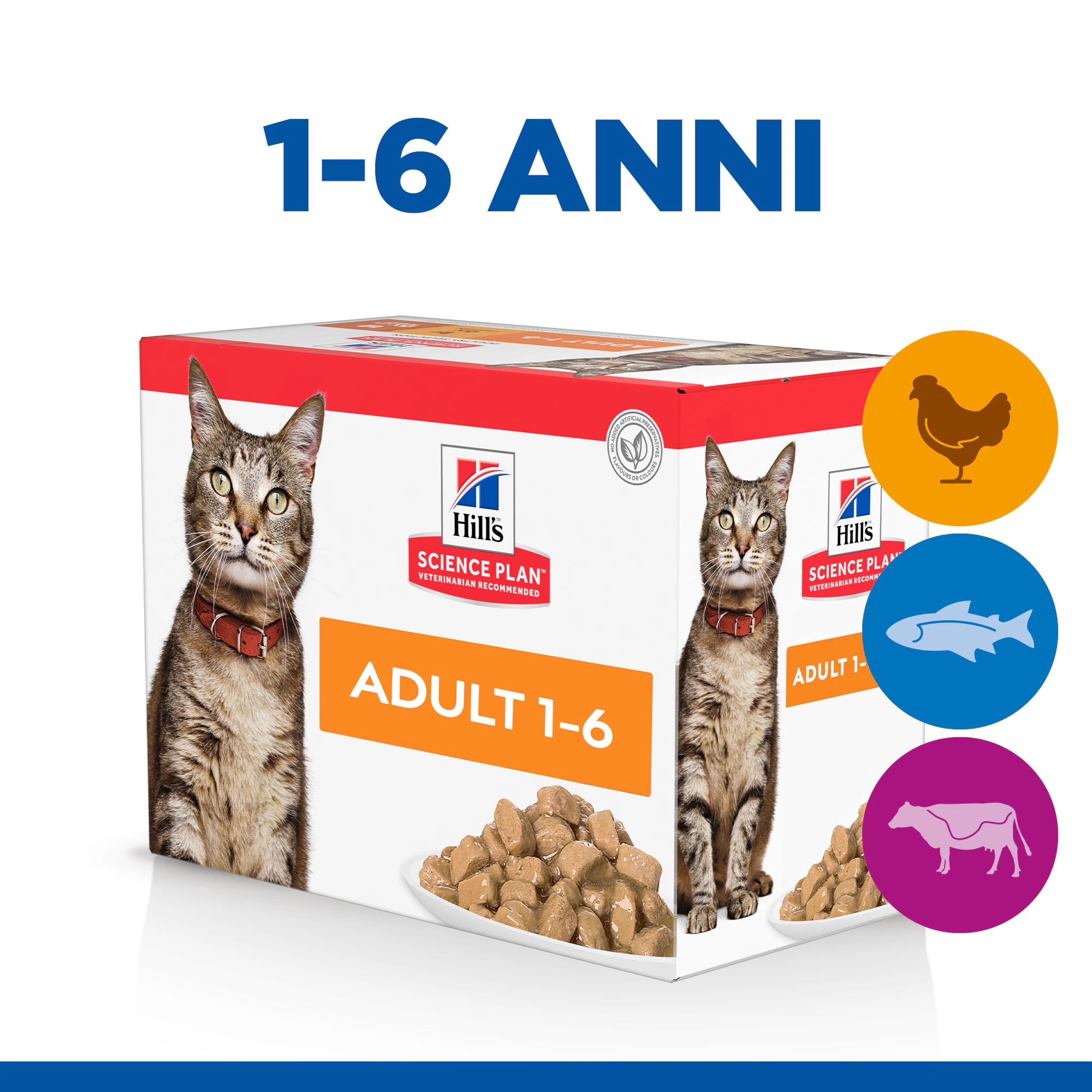 Hill's Science Plan Feline Adult Favourite Selection