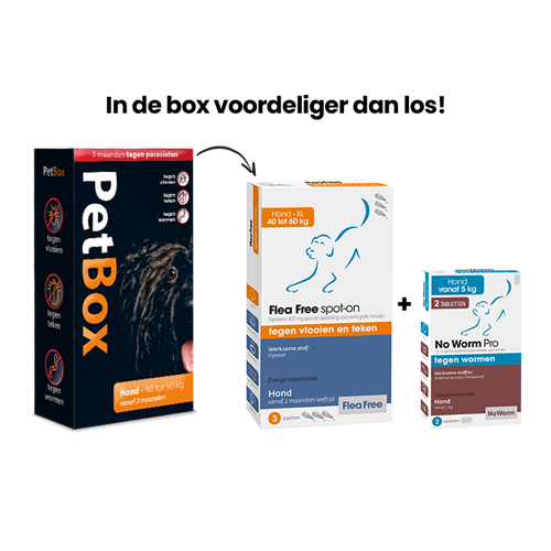 PetBox Hond