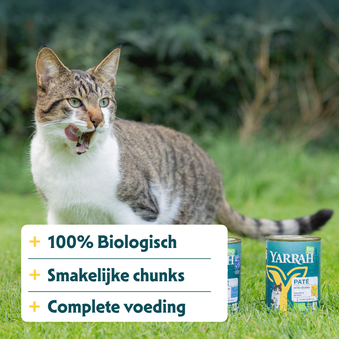 Yarrah - Natvoer Kat Blik Chunks met Kip Bio
