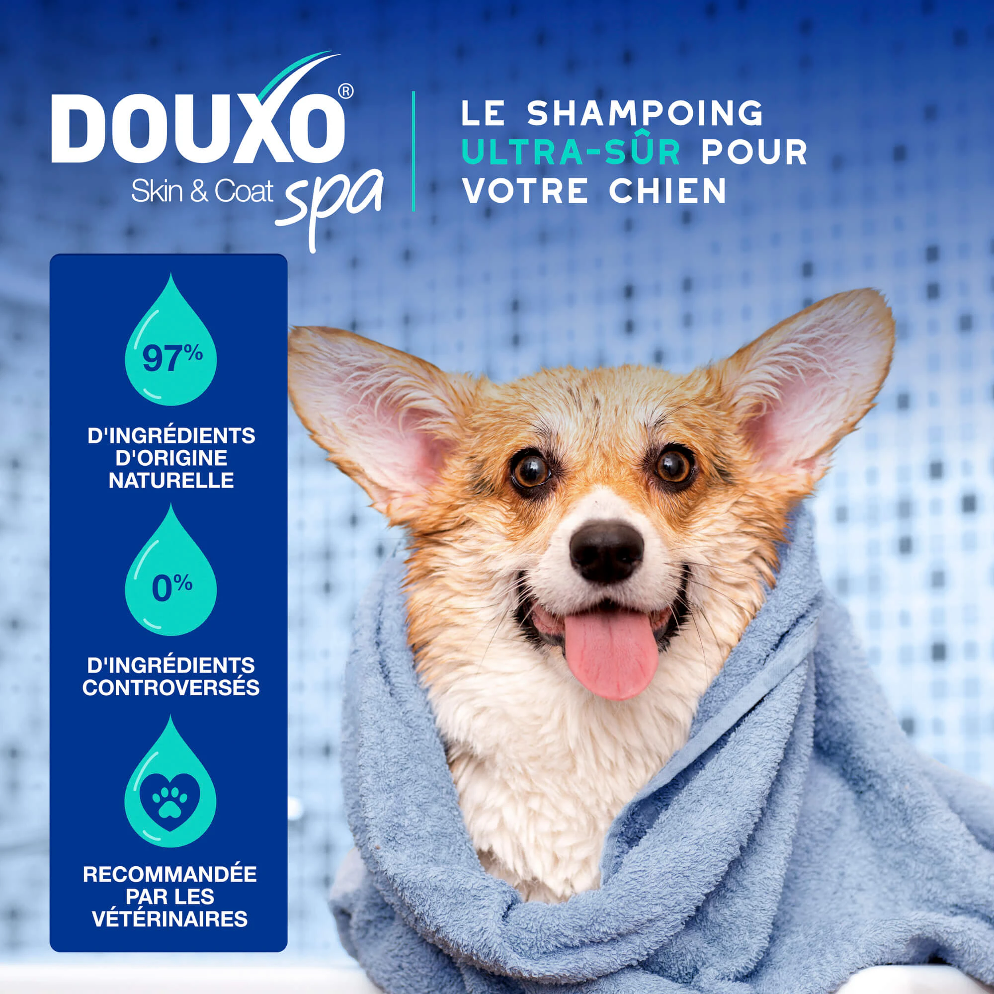 Douxo Spa Shampooing Anti-Odeur pour Chien