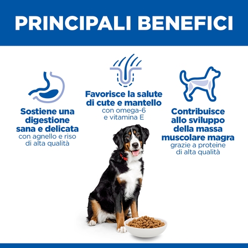 Hill's Science Plan Large Breed - Adult - Agnello e Riso