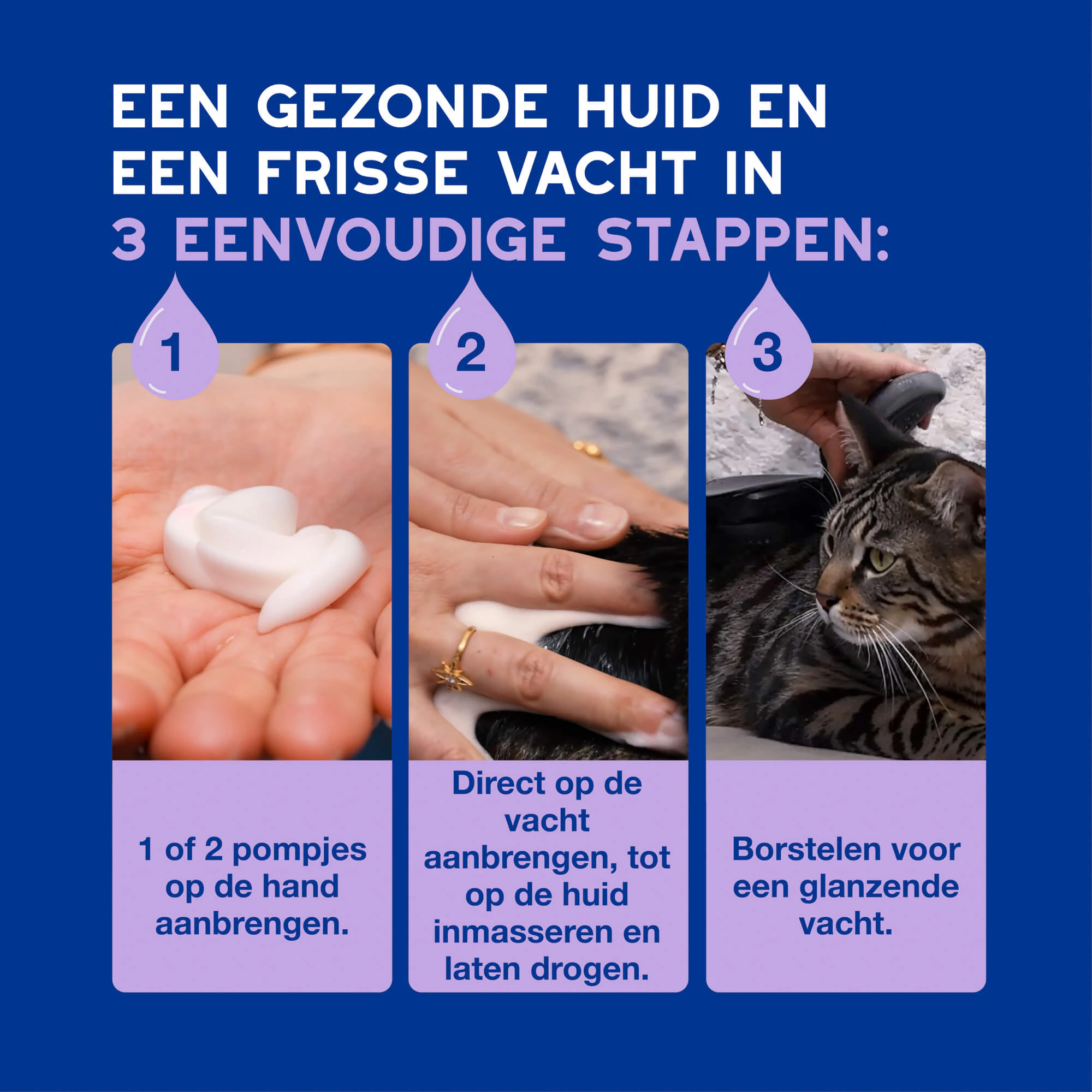 Douxo Spa Cat Mousse