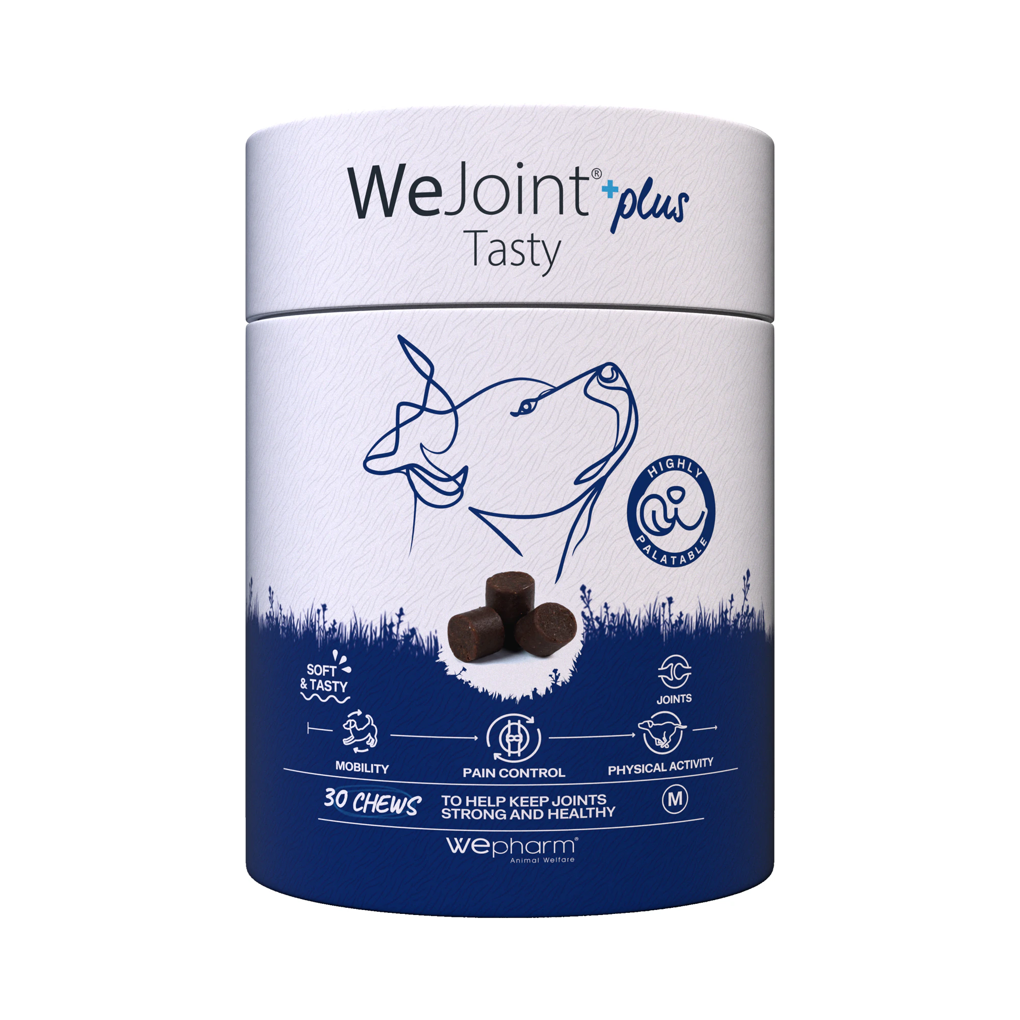 WePharm WeJoint Plus Tasty Large Breeds - 30 Stück