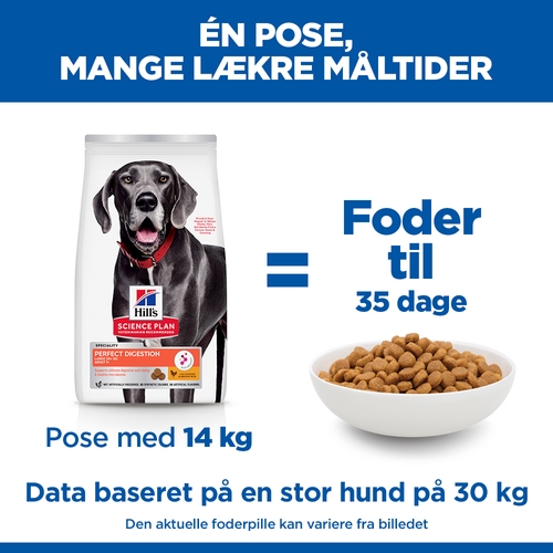 Hill's Science Plan Adult Perfect Digestion Large Breed Hundefoder