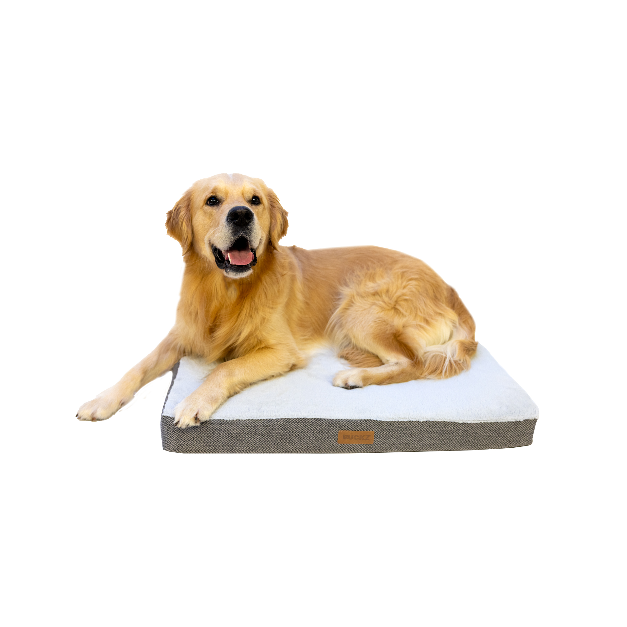 Buckz Orthopaedic Dog Cushion Bo