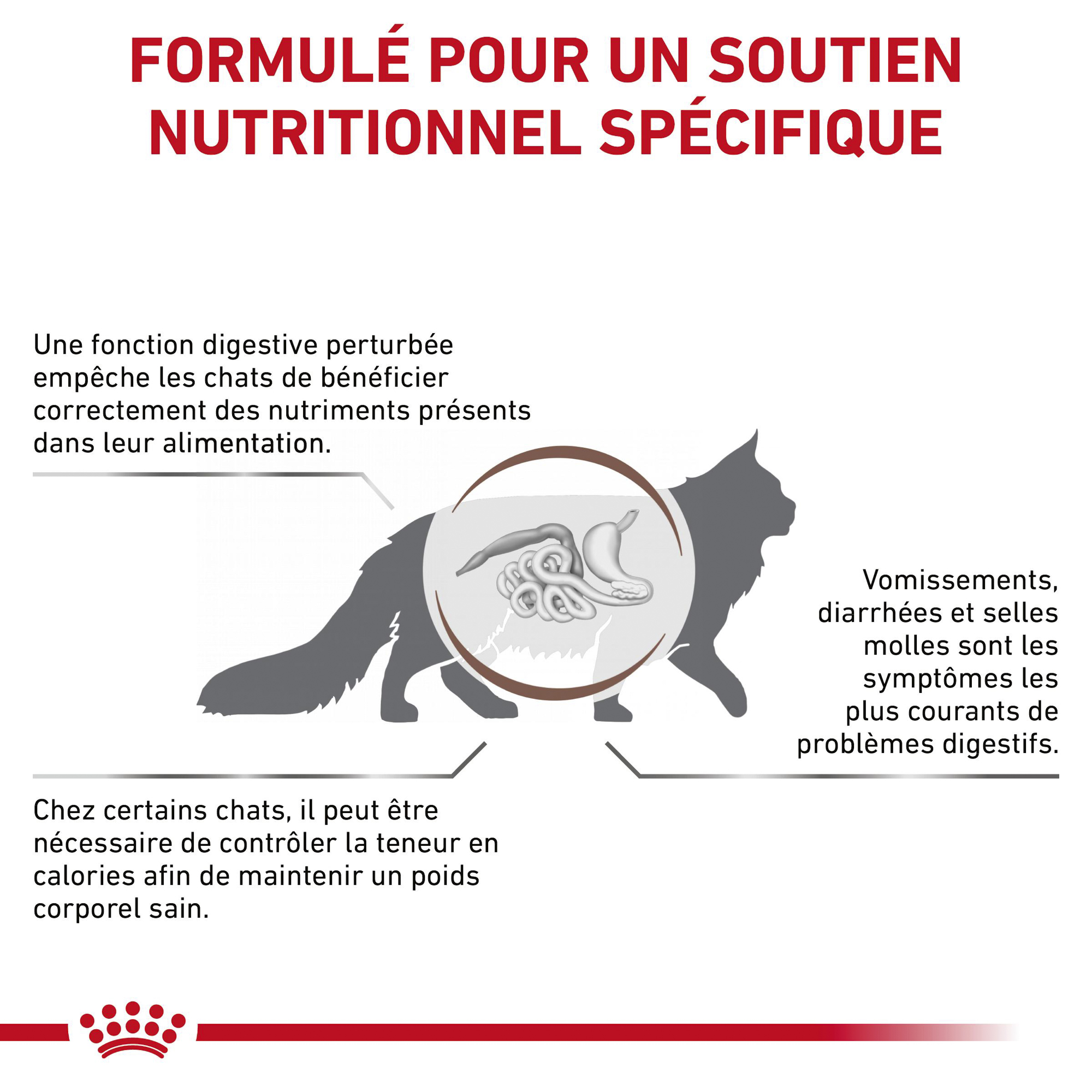 Royal Canin Gastro Intestinal Moderate Calorie - Chat