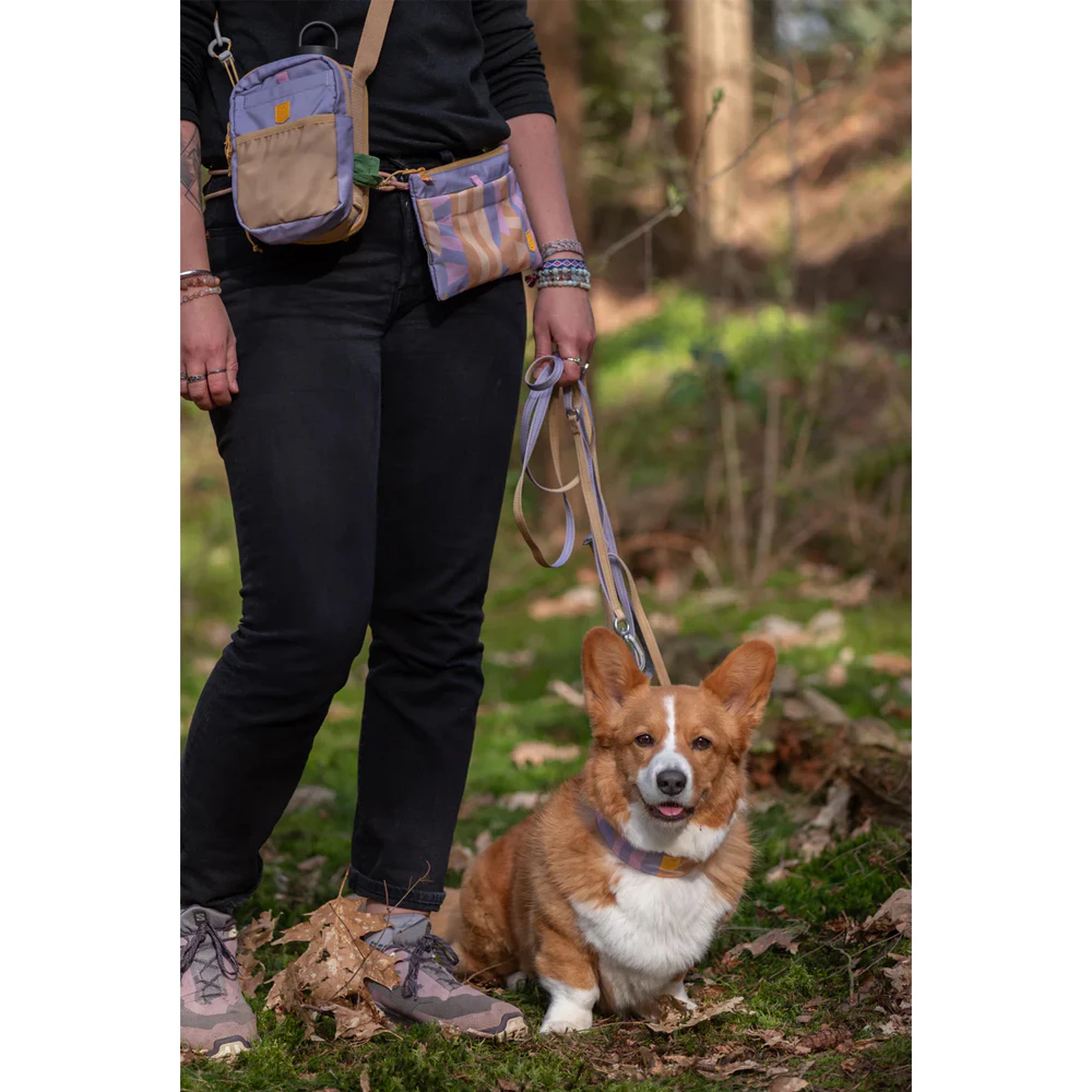 Woolly Wolf Multi-use Leash Thin