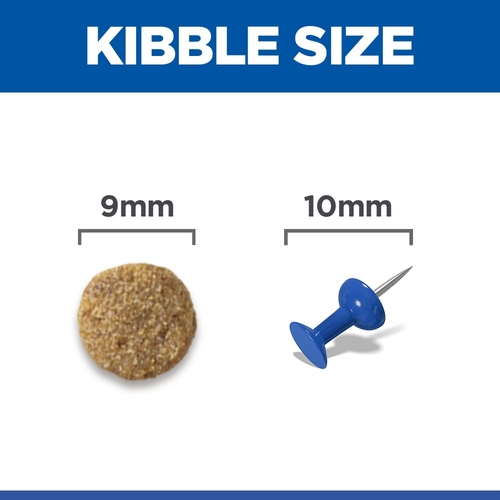 Hill's Science Plan - Adult - Salmon