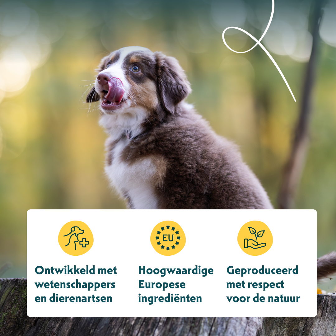 Yarrah - Droogvoer Puppy Bio