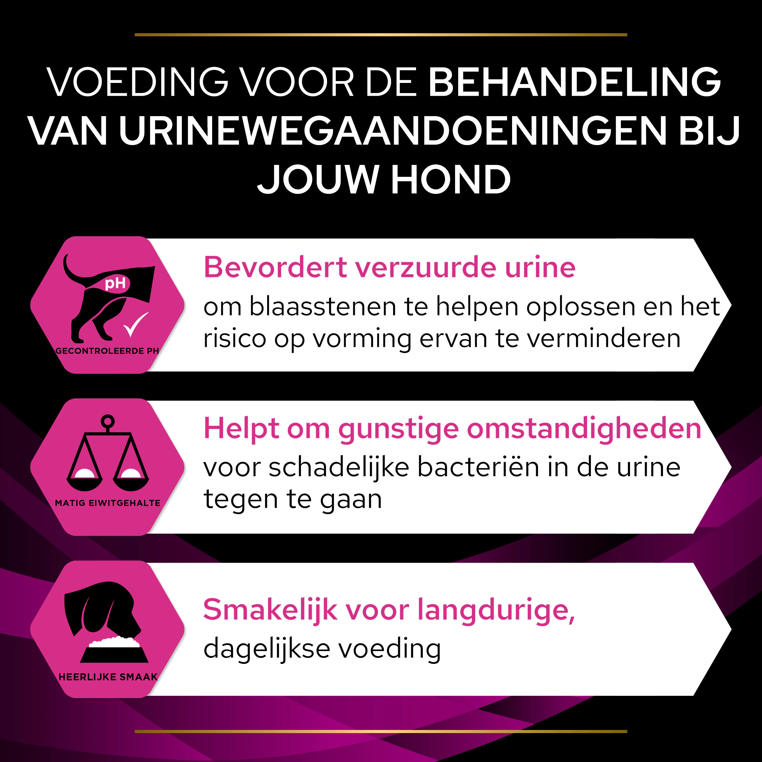 Purina Pro Plan Veterinary Diets UR Urinary - Hond