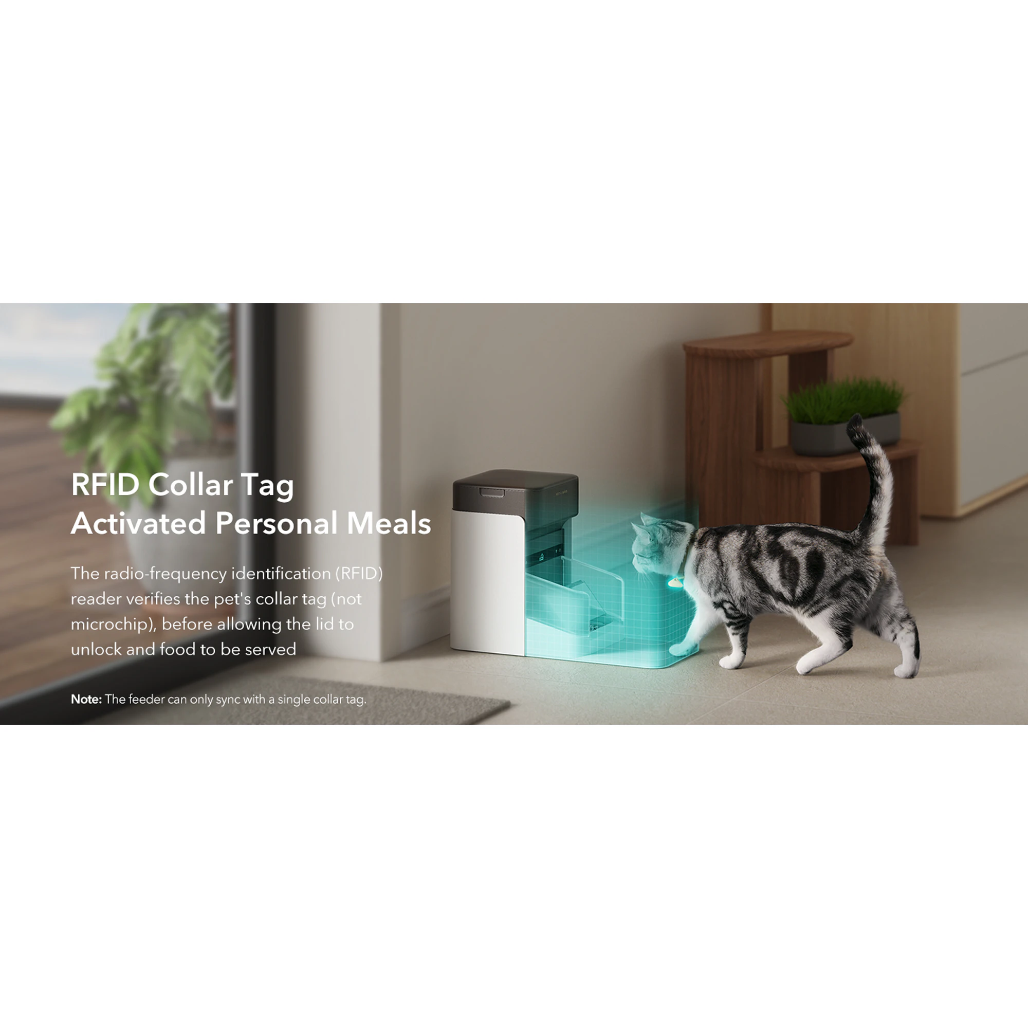 Petlibro One RFID Smart Feeder