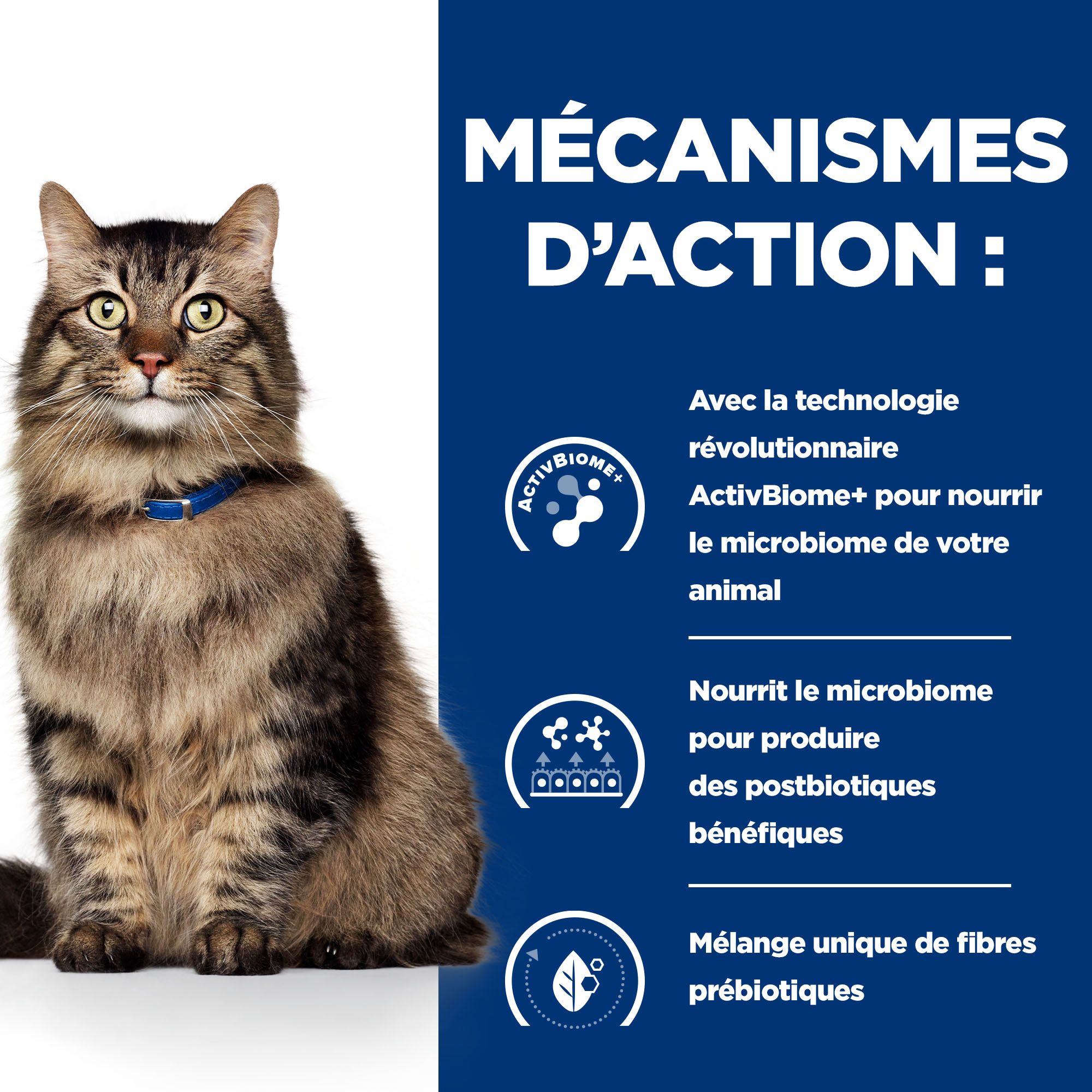 Hill's Prescription Diet - Gastrointestinal Biome - Aliment pour Chat - Mijoté