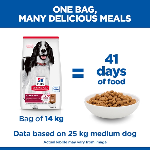 Hill's Science Plan Medium - Adult - Lamb & Rice