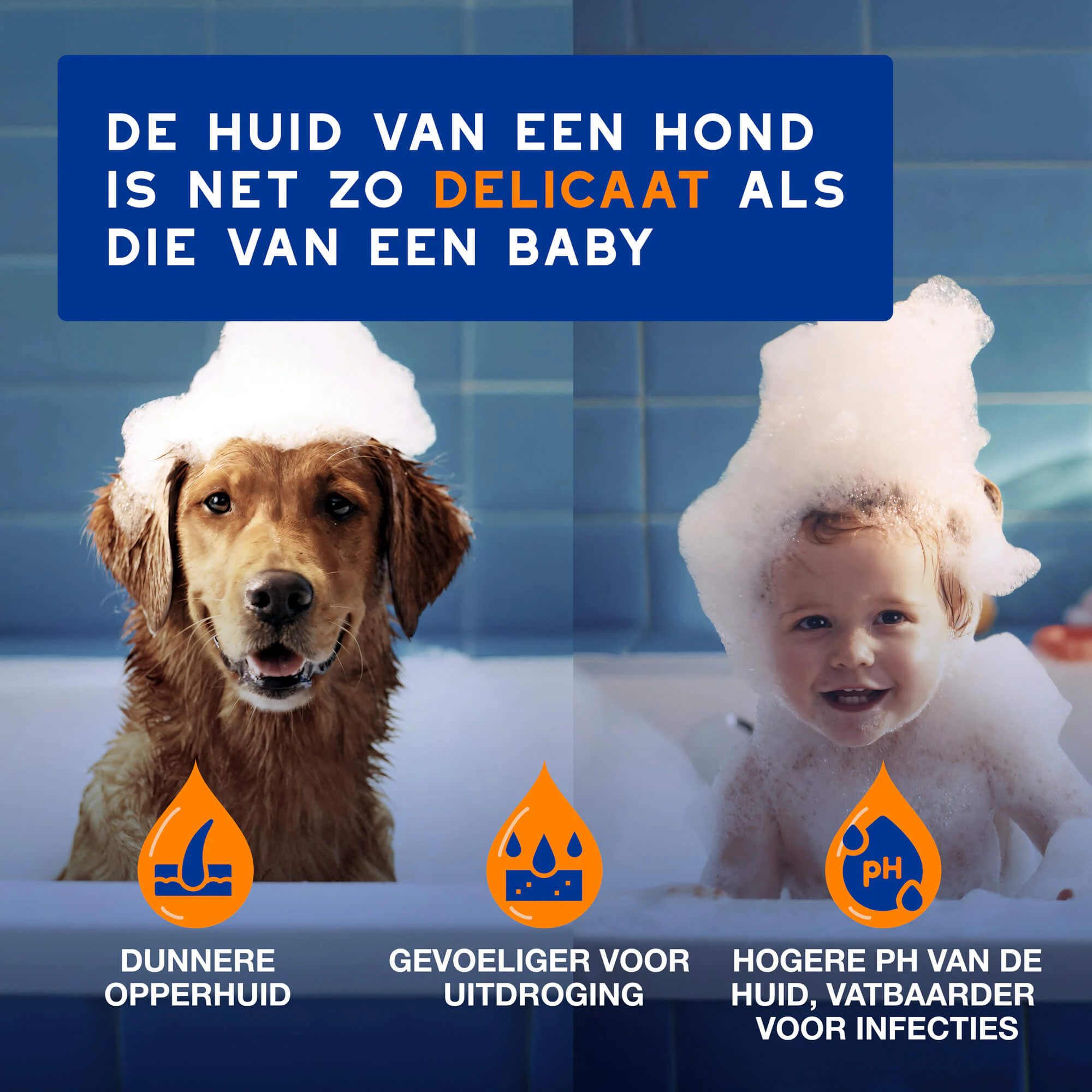 Douxo Spa Spray Ontwarrend