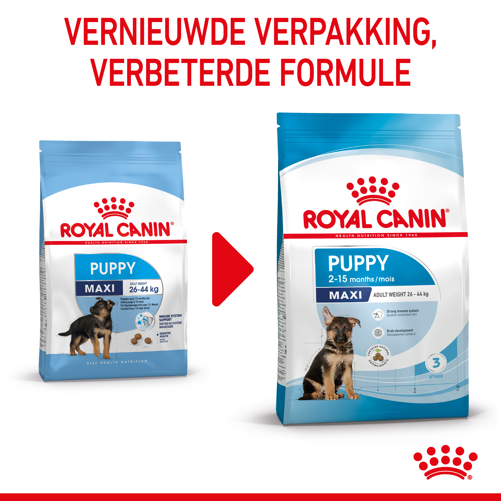 Royal Canin Maxi Puppy - Hondenvoer