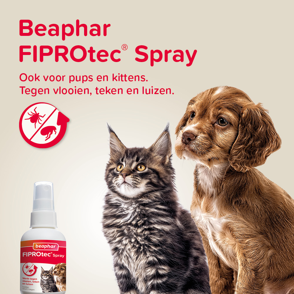 Beaphar Fiprotec Spray
