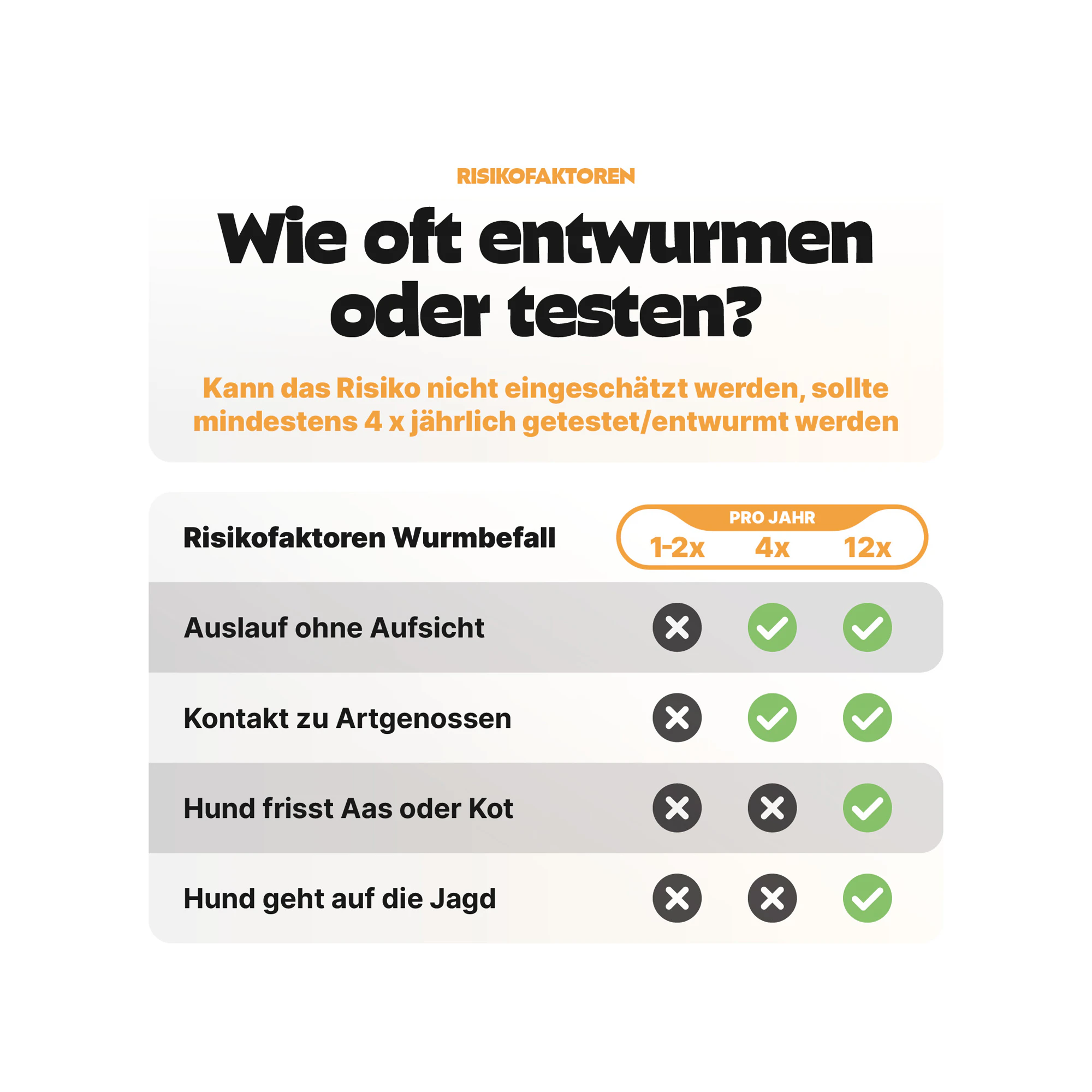 Pezz PCR Wurmtest Hund