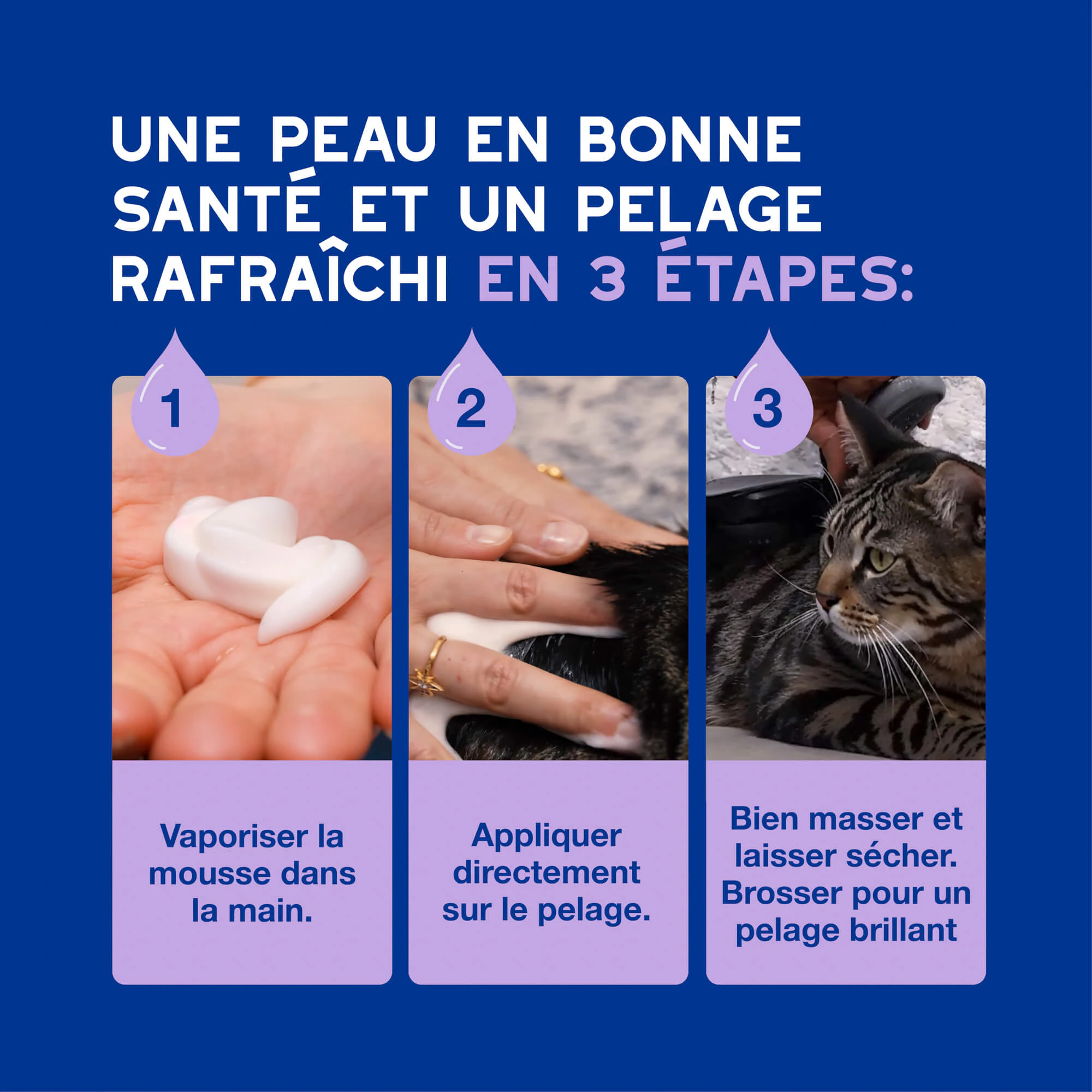 Douxo Spa Cat Mousse - Mousse de soin quotidien pour chats