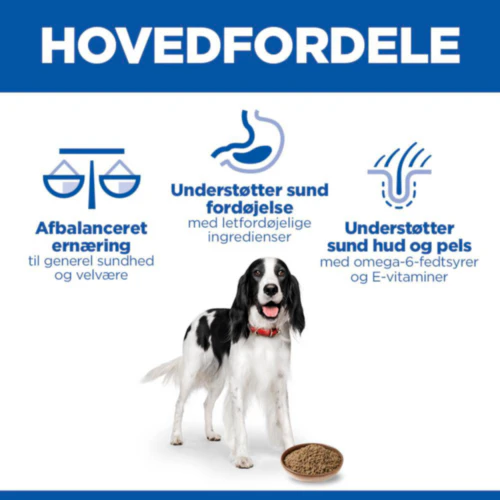 Hill's Science Plan Medium - Adult - Oksekød - Dåse