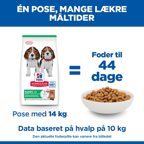 Hill's Science Plan - Puppy - Medium - Agnello e Riso