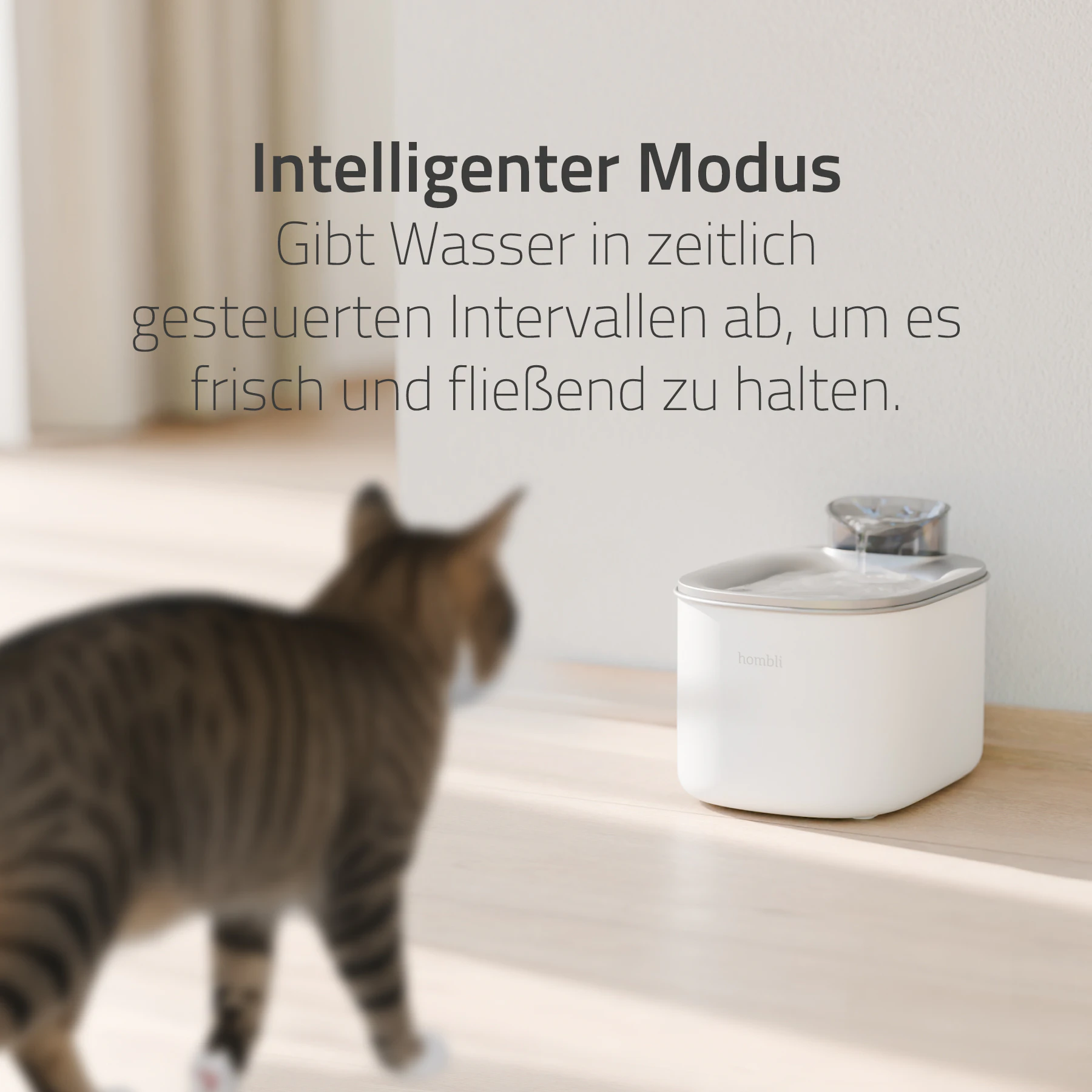 Hombli Smart Trinkbrunnen