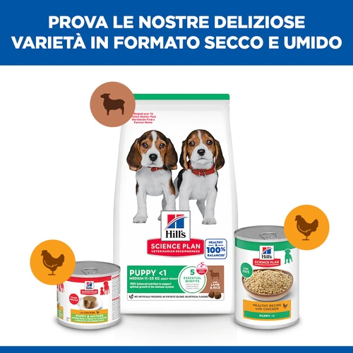 Hill's Science Plan - Puppy - Medium - Agnello e Riso