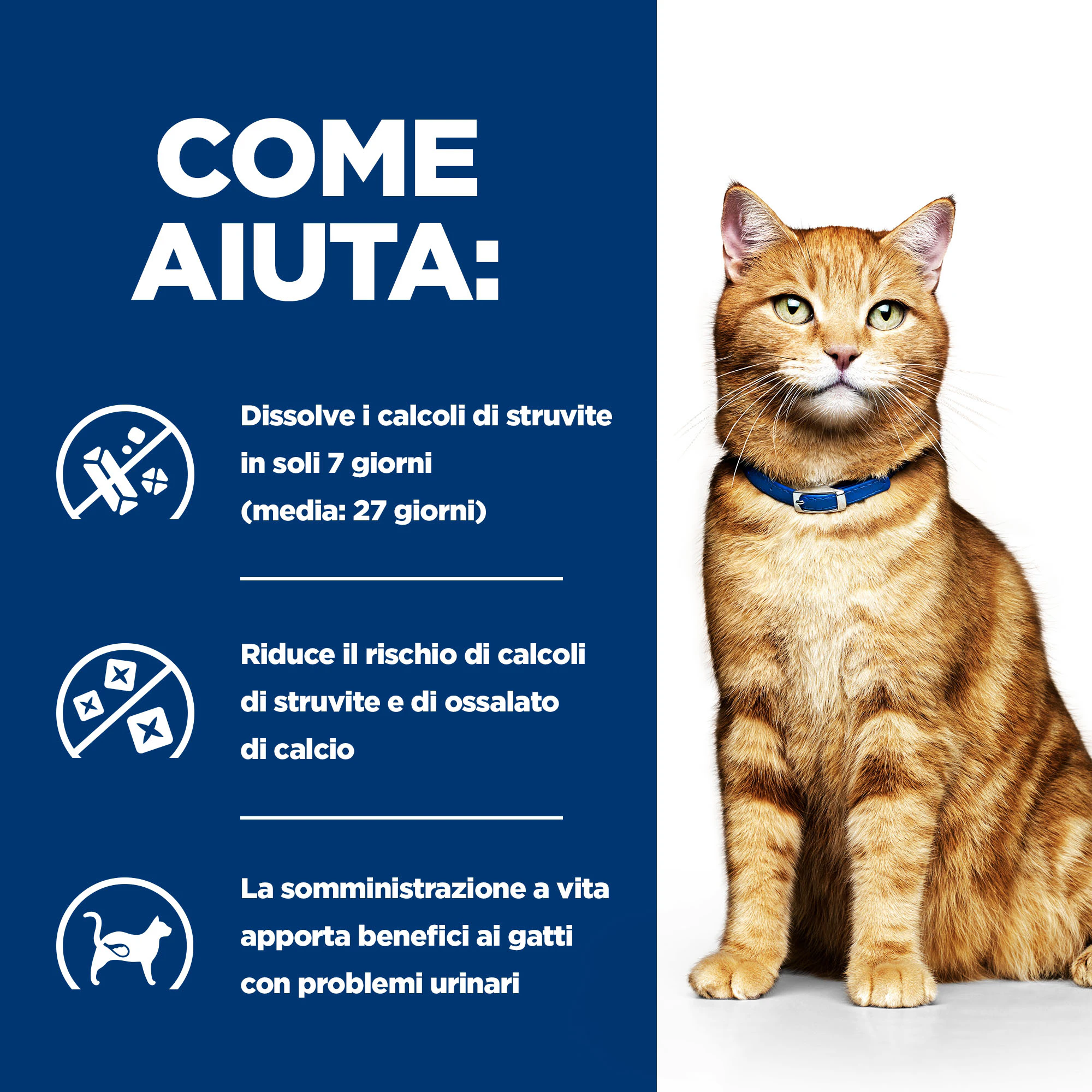 Hill's c/d Multicare - Prescription Diet - Feline - Busta
