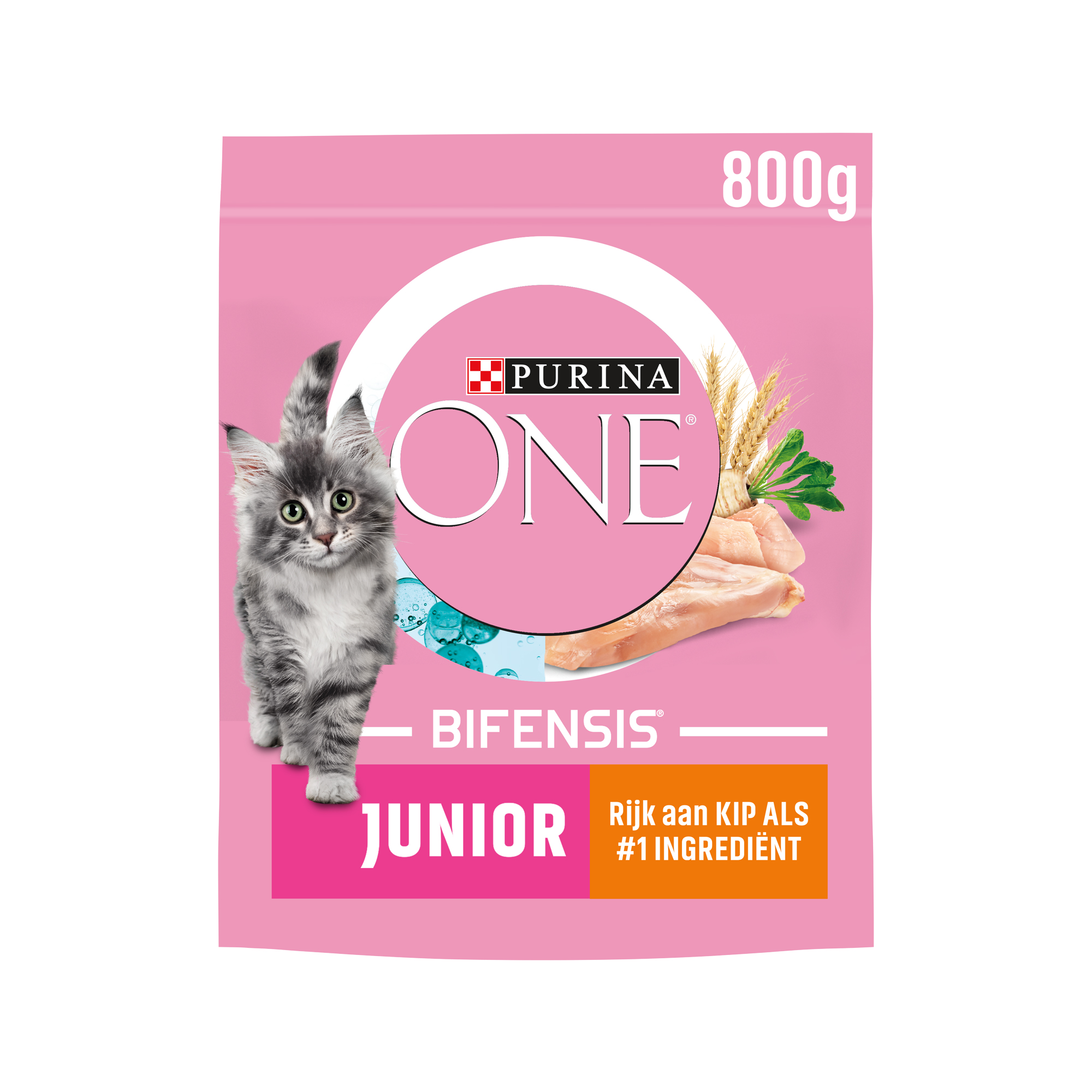 Purina ONE Junior
