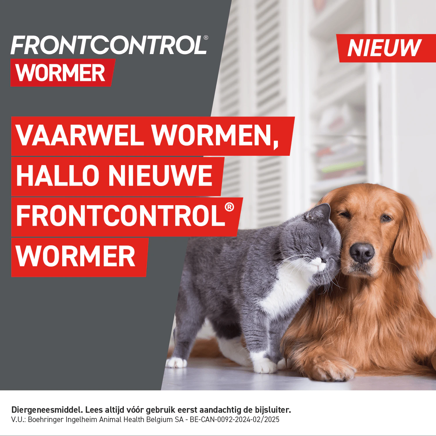 Frontcontrol Wormer Hond
