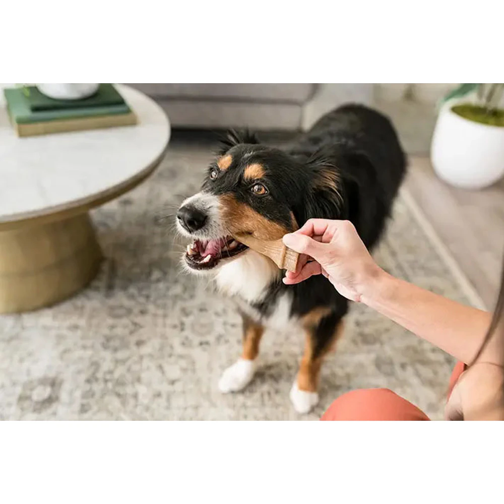 Whimzees Antler Dental Treats