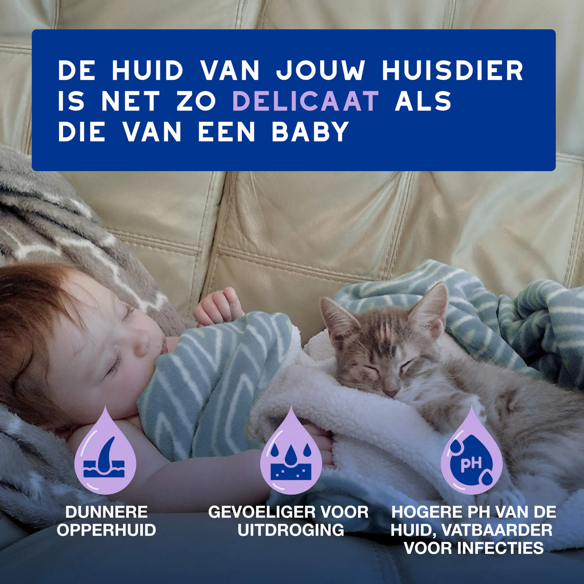 Douxo Spa Cat Mousse