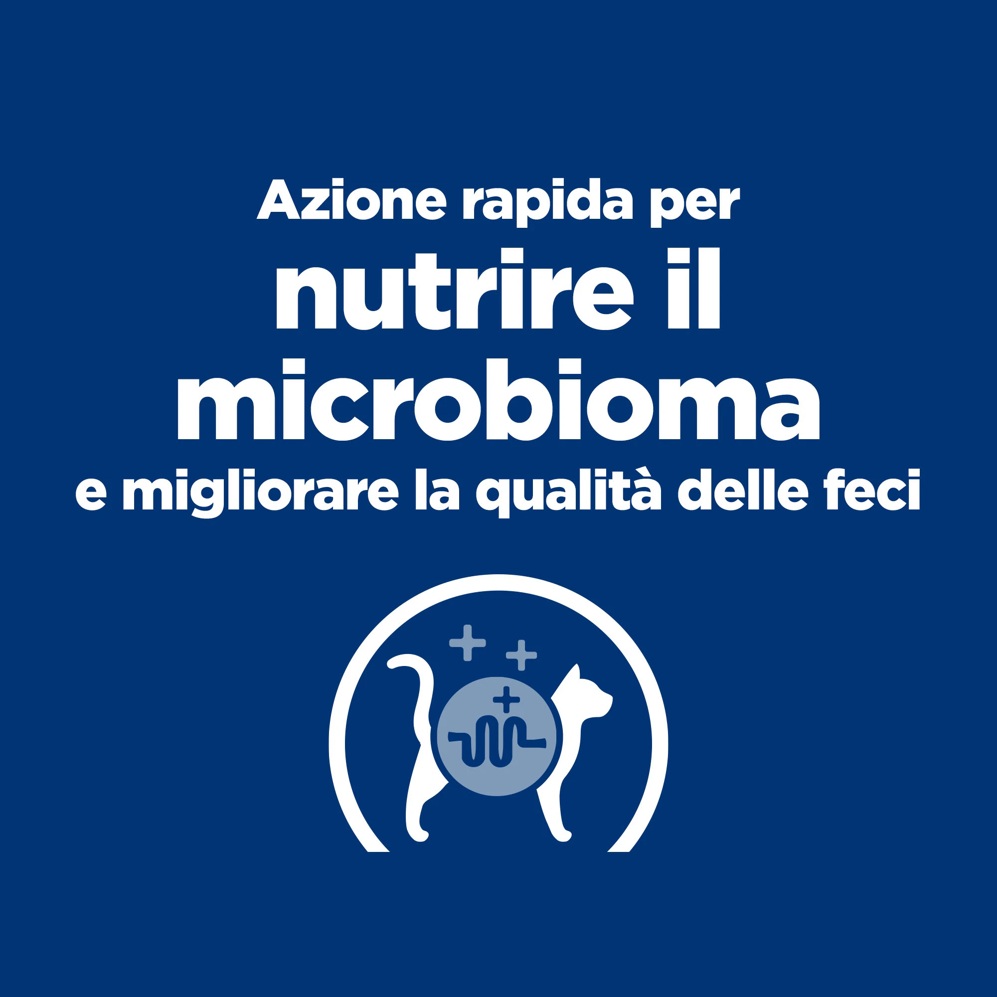 Hill's Prescription Diet - Gastrointestinal Biome - Feline - Cibo Umido