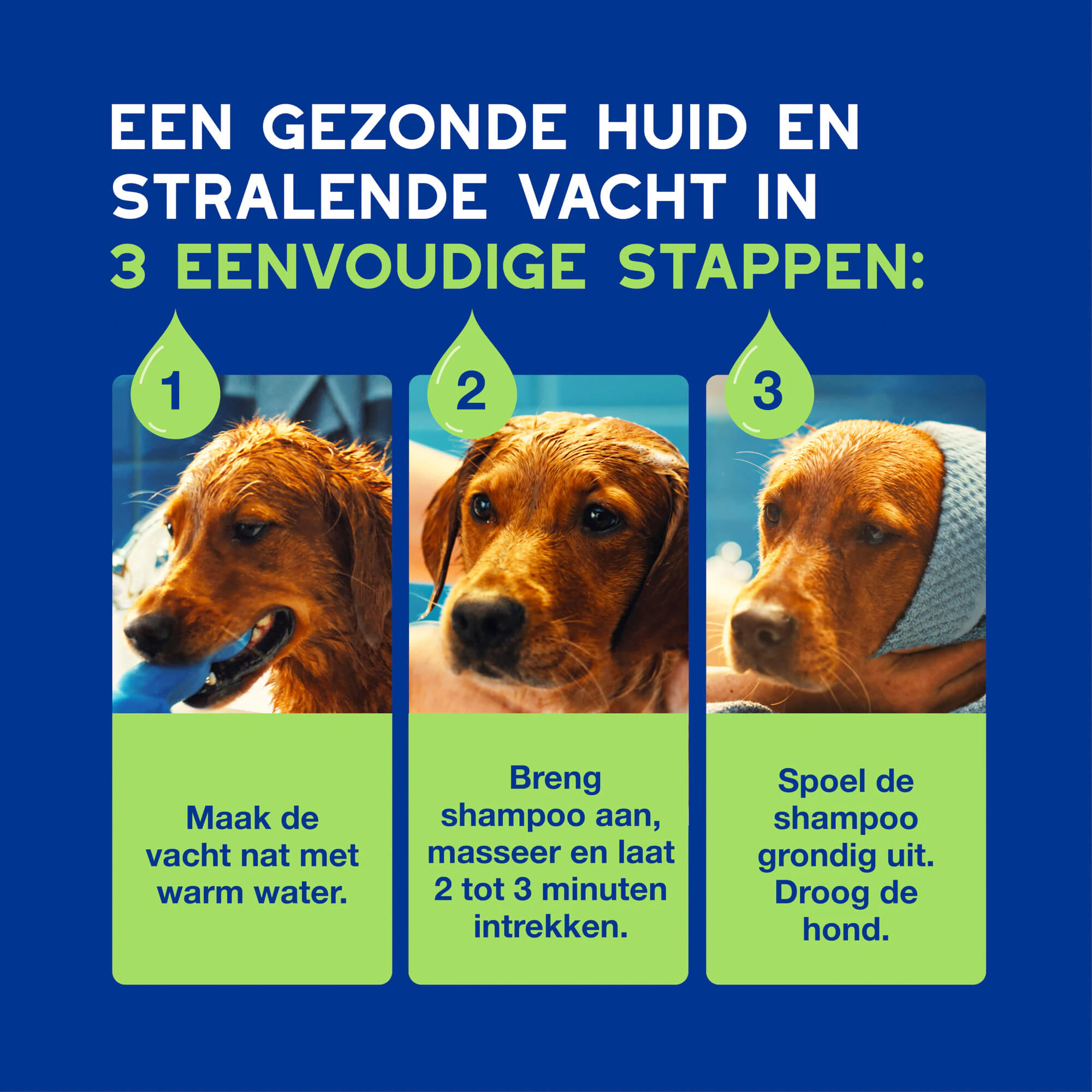 Douxo  Spa Shampoo Puppy