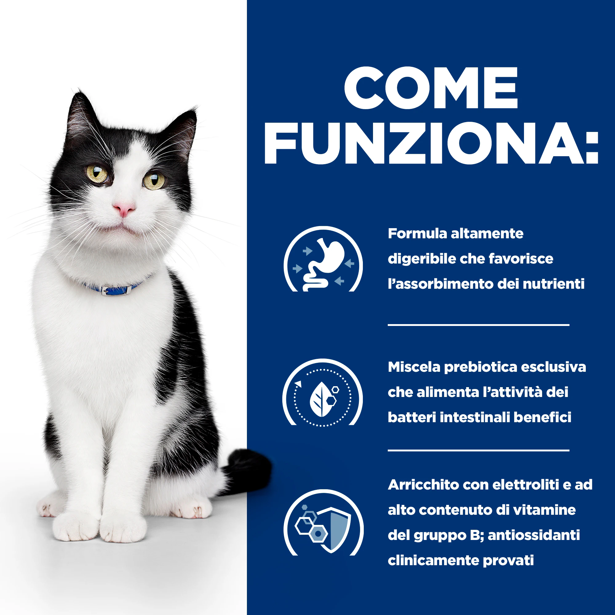 Hill's i/d Digestive Care - Prescription Diet - Feline - Buste Cibo Umido