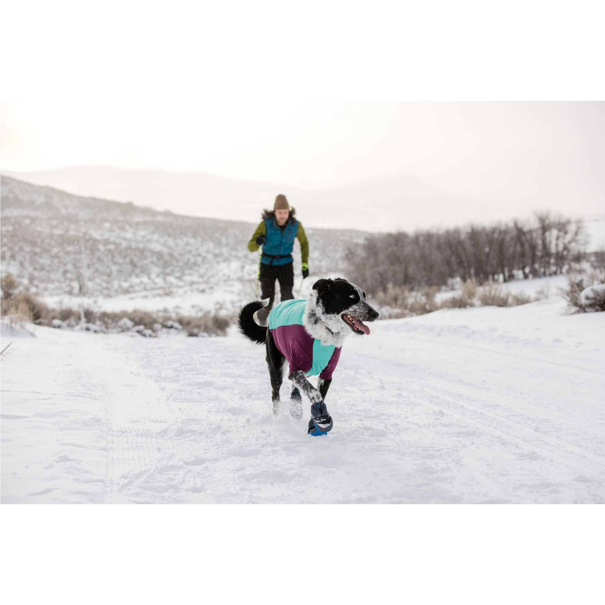 Ruffwear Polar Trex Chaussures pour Chien