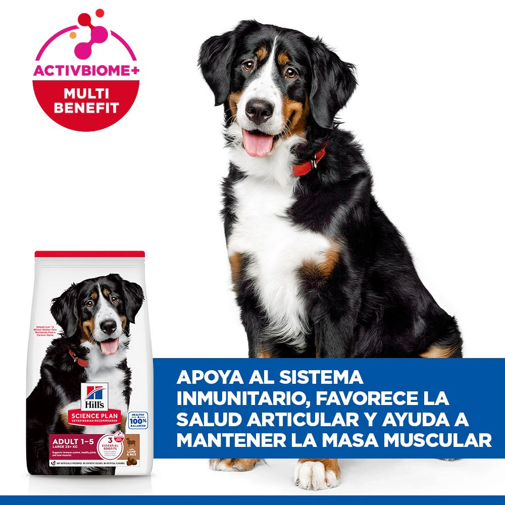 Hill's Science Plan Large Breed - Adult - Cordero y Arroz